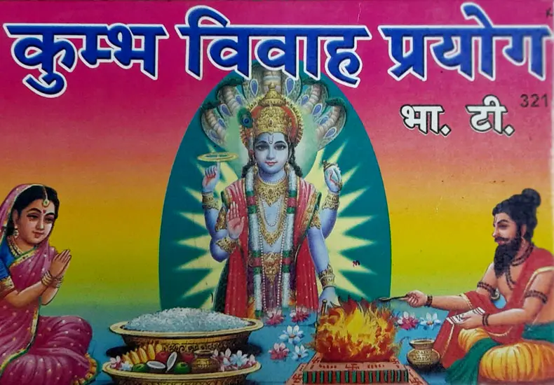 Best astrologer | Astroruchi Abhiruchi Palsapure kumbh-vivah