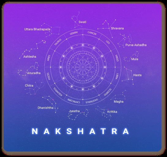 Best astrologer | Astroruchi Abhiruchi Palsapure nakshatra shanti